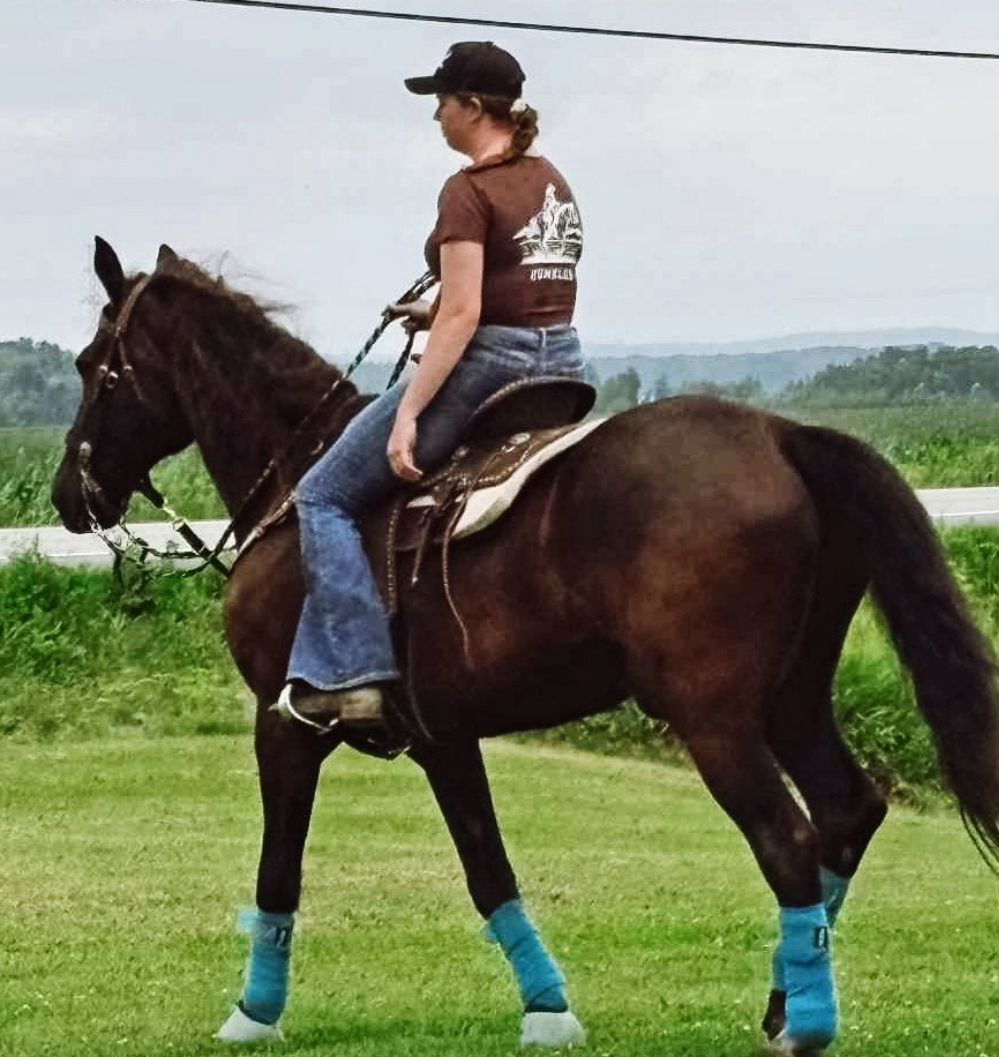 Crop top cheval au dos