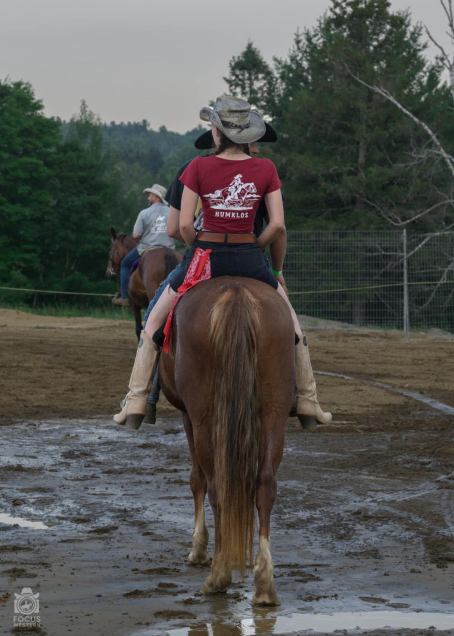 Crop top cheval au dos