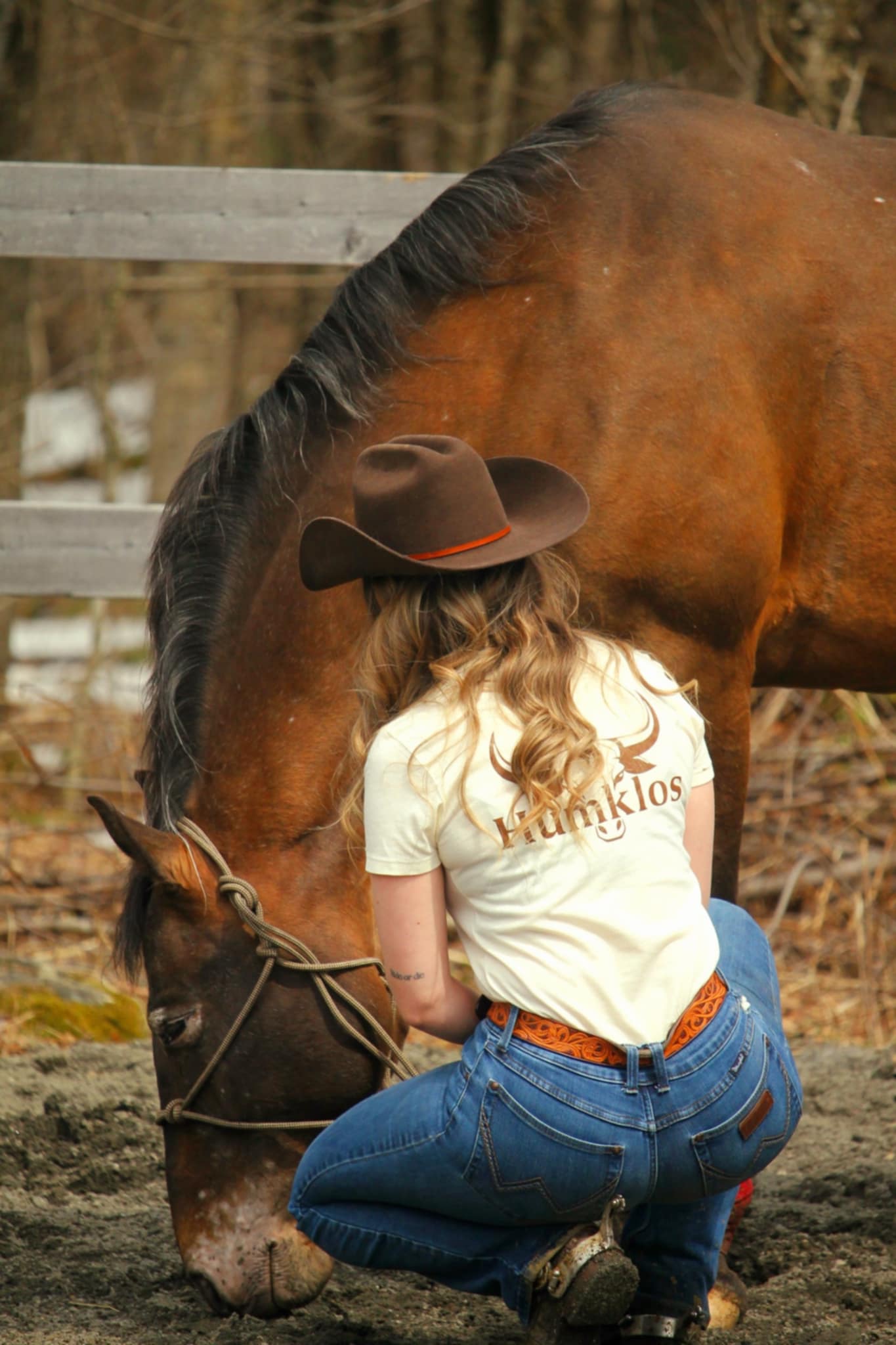 T-shirt tête de bœuf femme